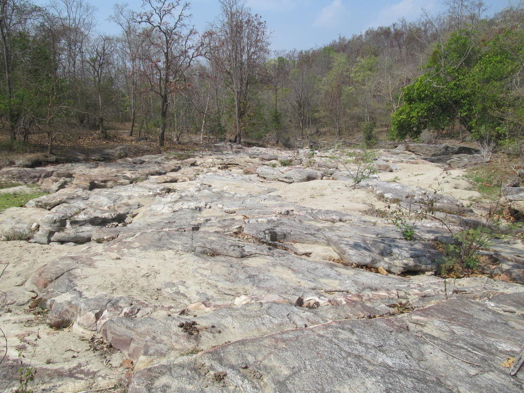 IMG_4478.jpg IMG_4478.jpg