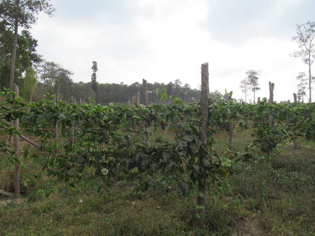 IMG_4584.jpg