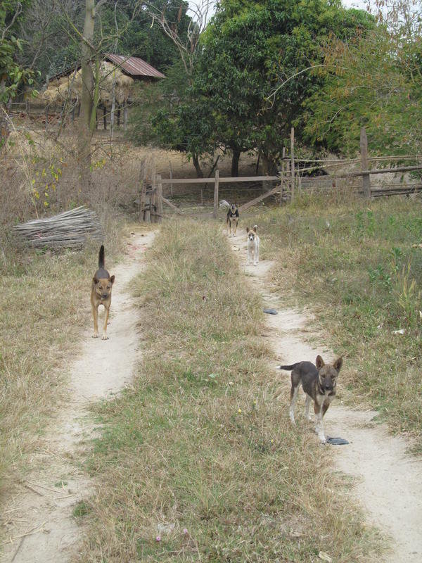 IMG_4585.jpg