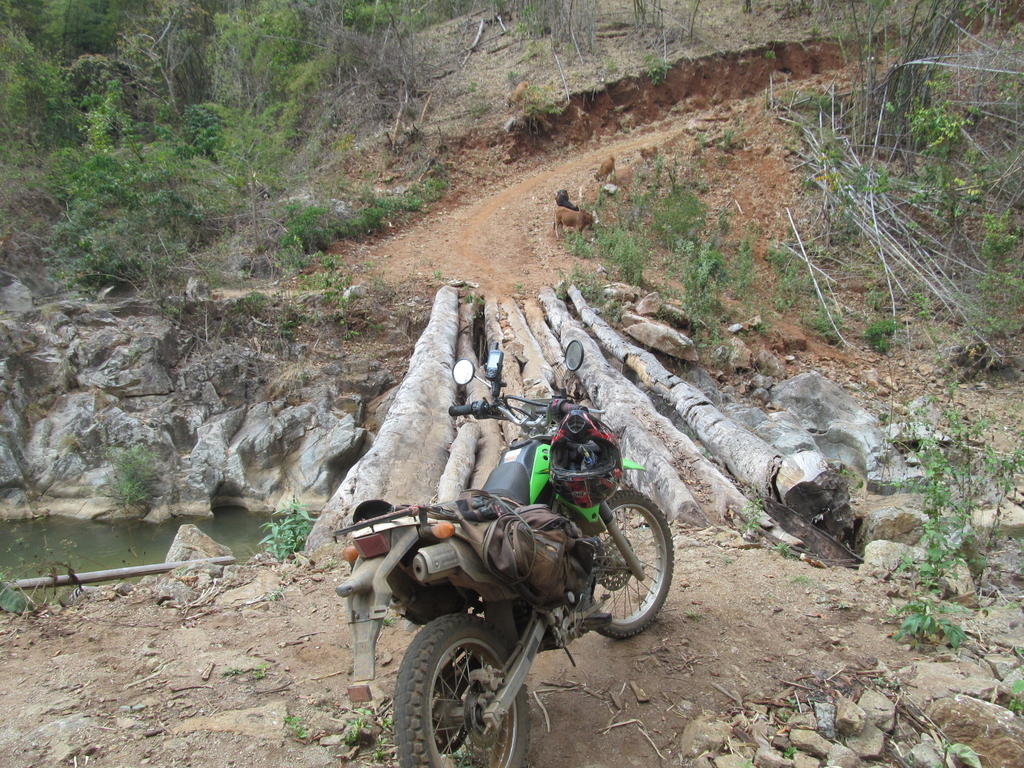 IMG_4818.jpg IMG_4818.jpg