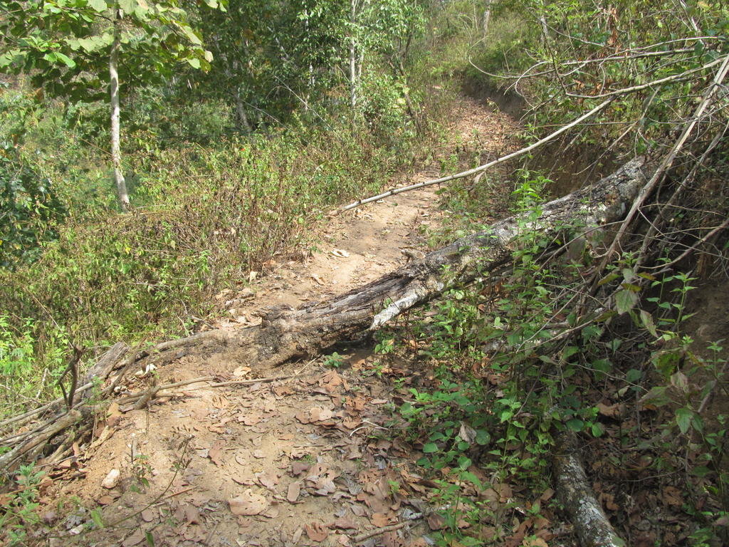 IMG_4866.jpg