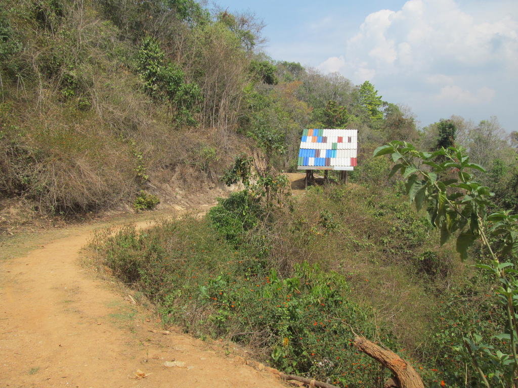 IMG_4854.jpg