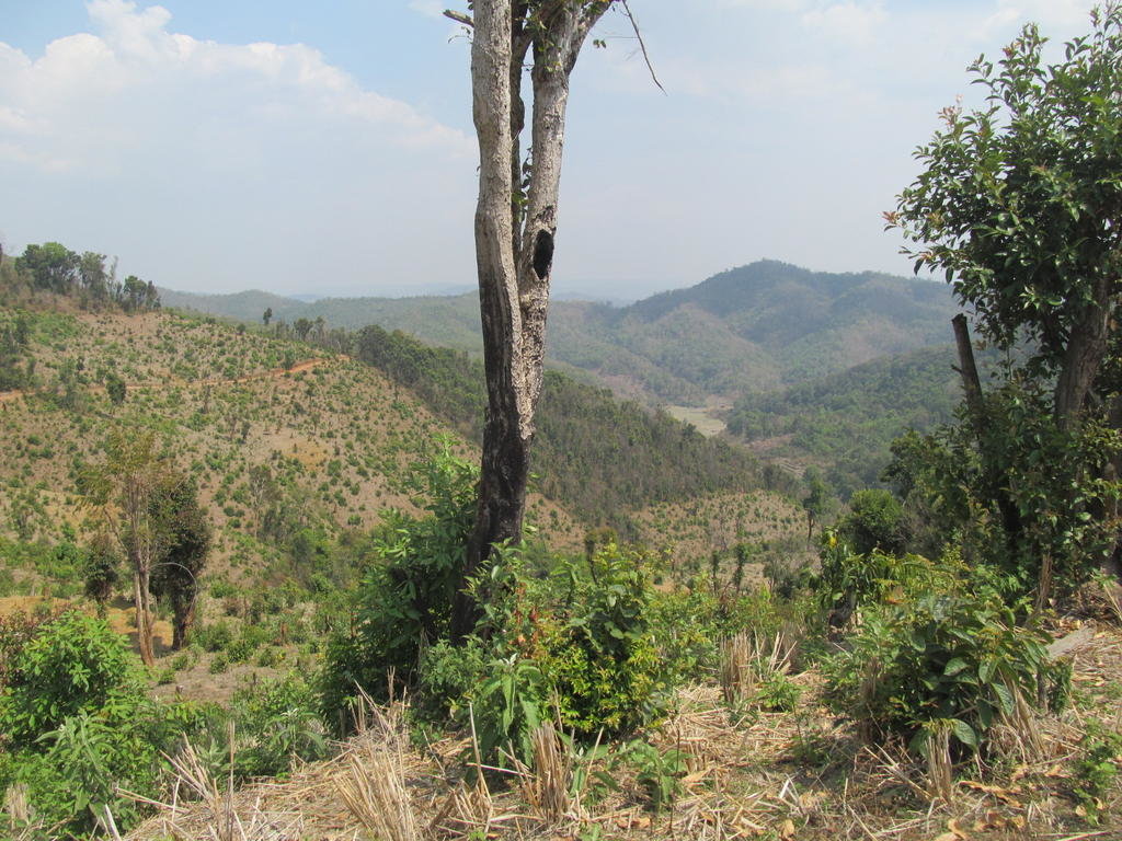 IMG_4857.jpg