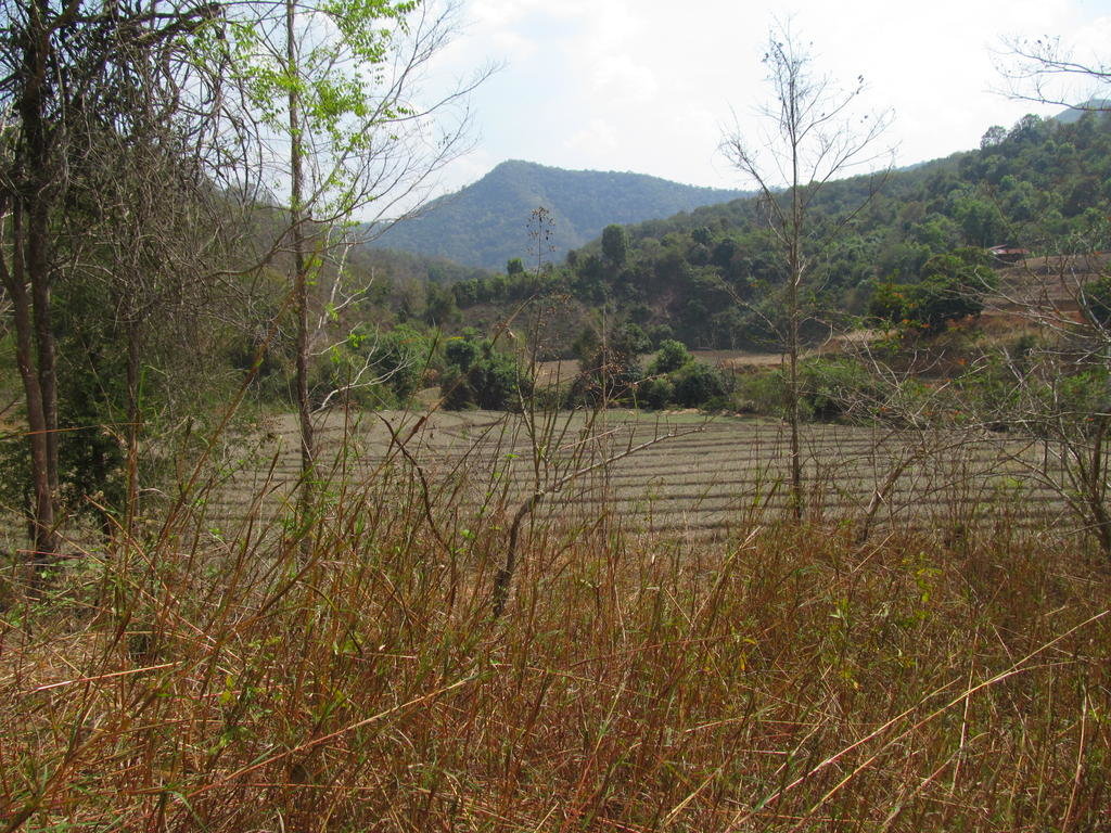 IMG_4869.jpg