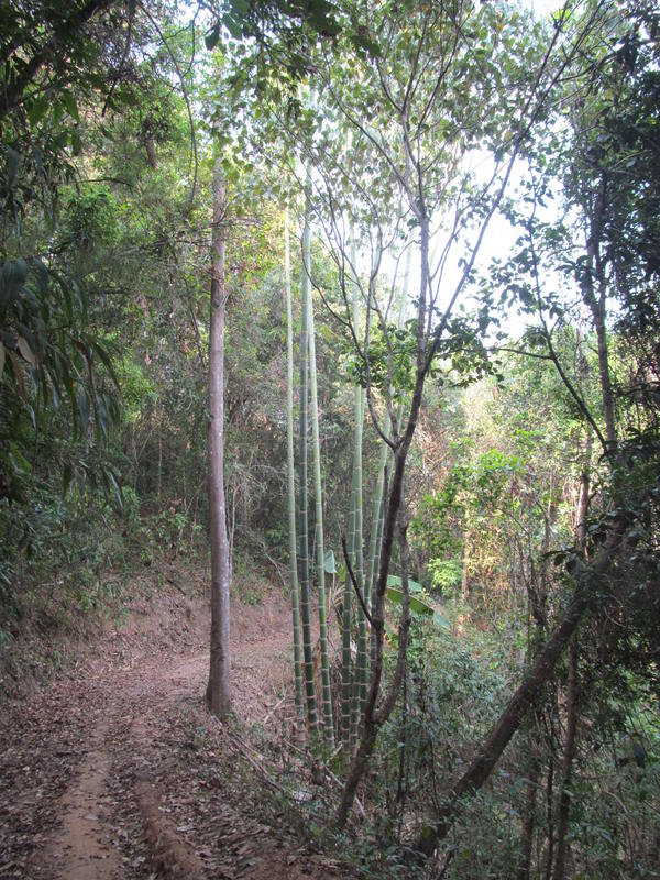 IMG_4878.jpg