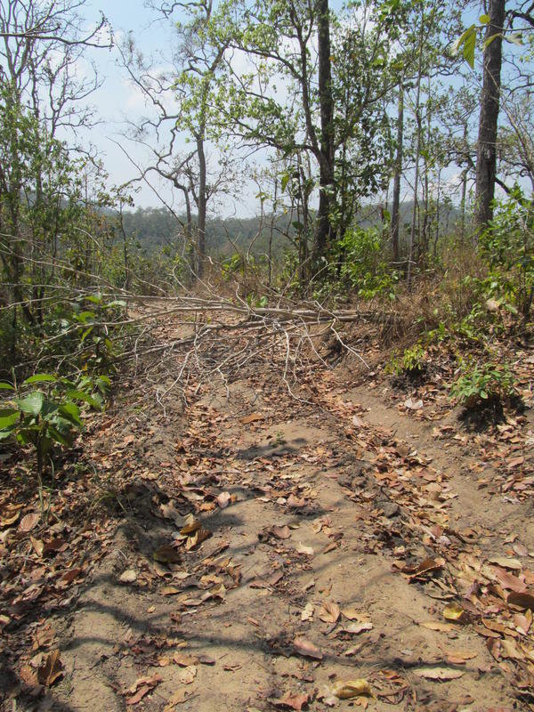 IMG_4886.jpg