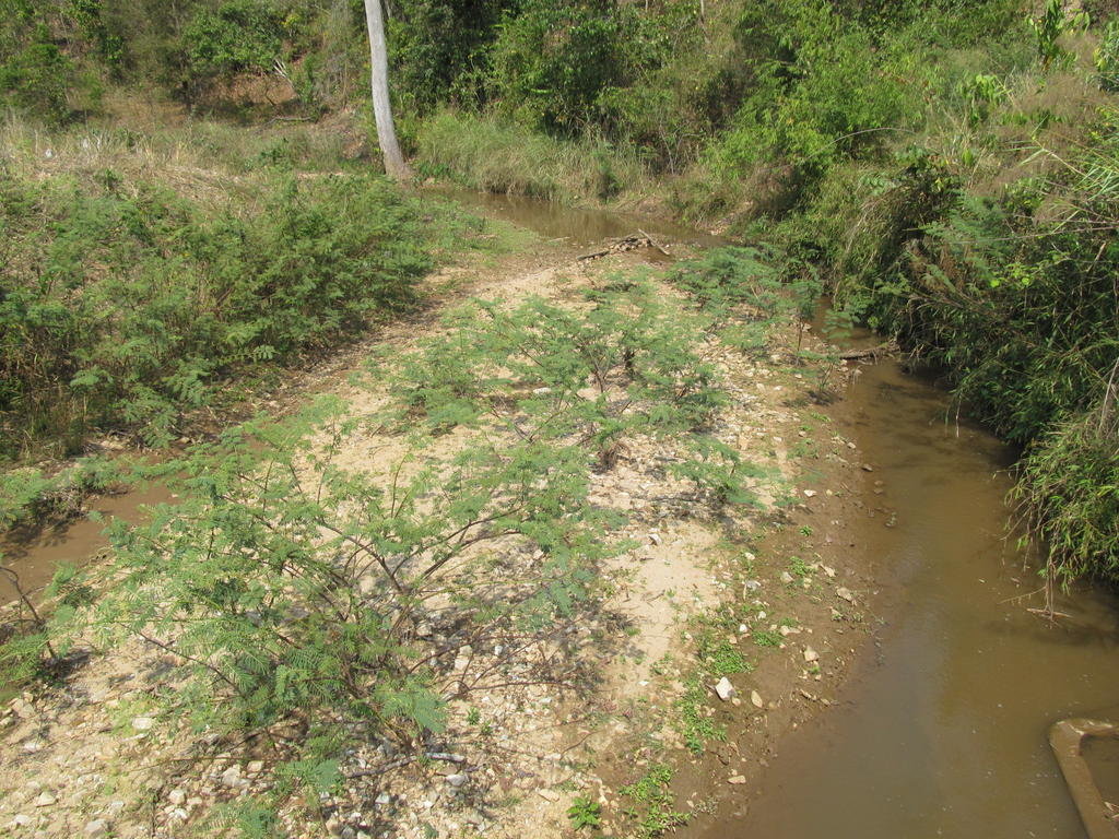 IMG_4904.jpg