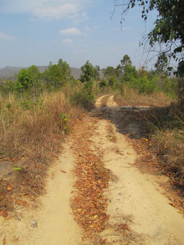 IMG_4911.jpg