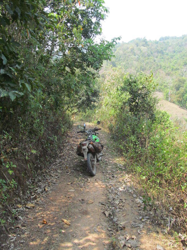 IMG_4936.jpg