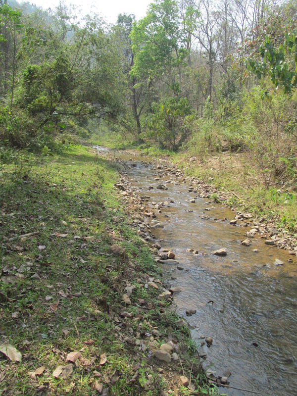 IMG_4956.jpg