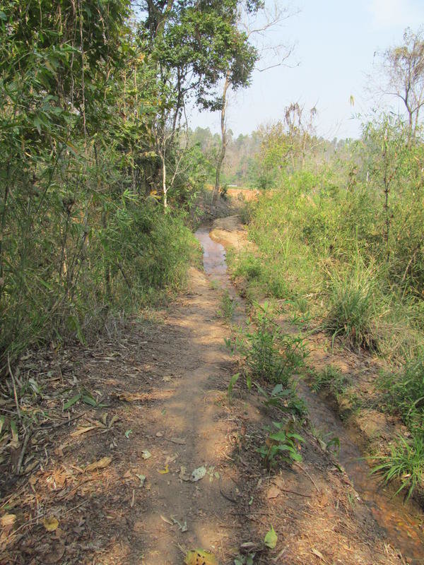 IMG_4958.jpg