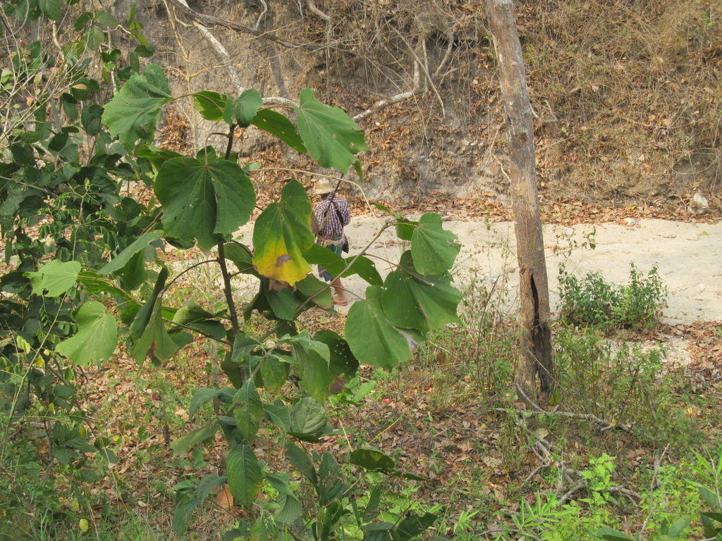 IMG_5011.jpg