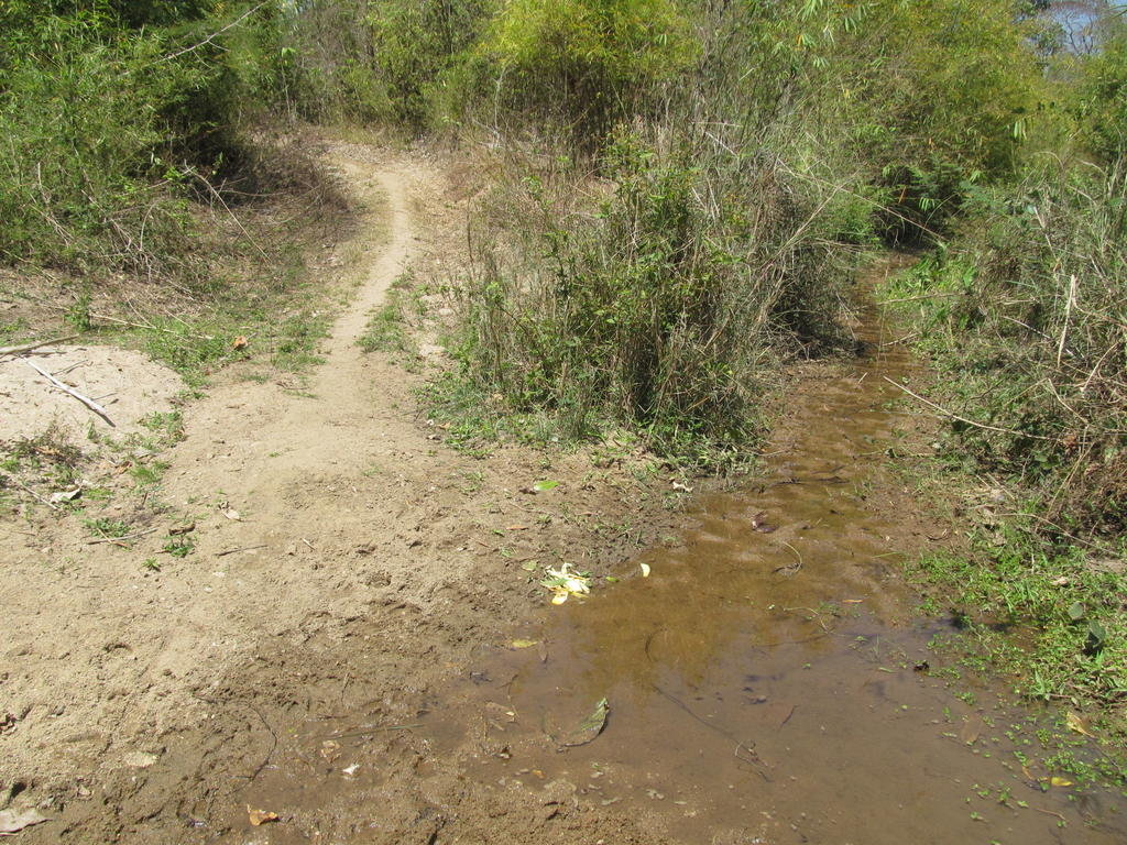 IMG_5037.jpg