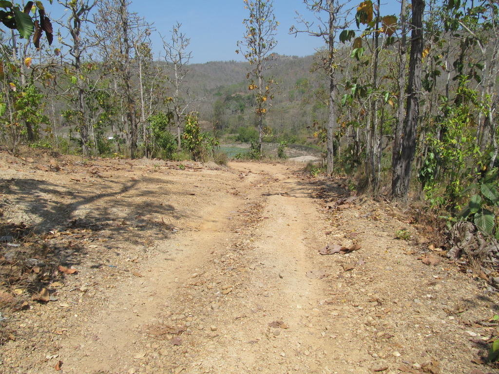 IMG_5056.jpg