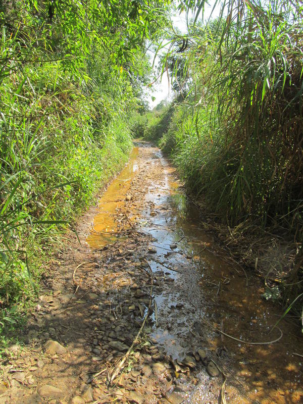 IMG_5065.jpg