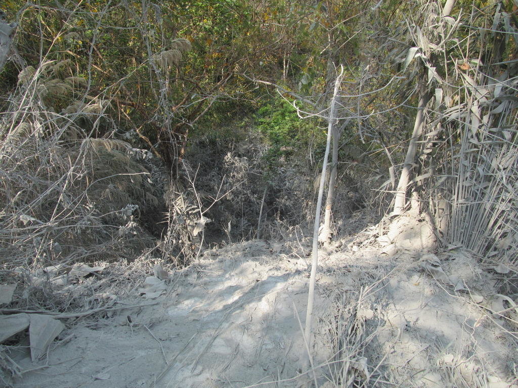IMG_5127.jpg