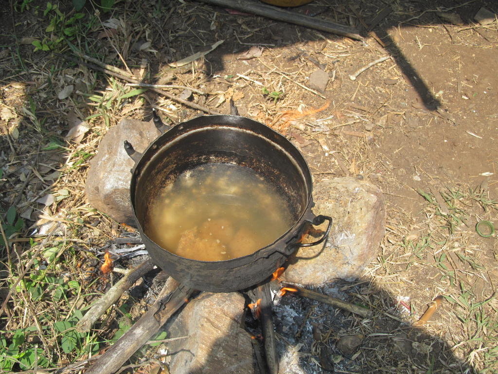 IMG_5133.jpg