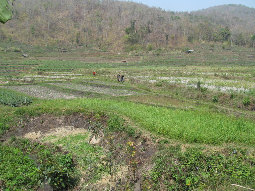 IMG_5134.jpg