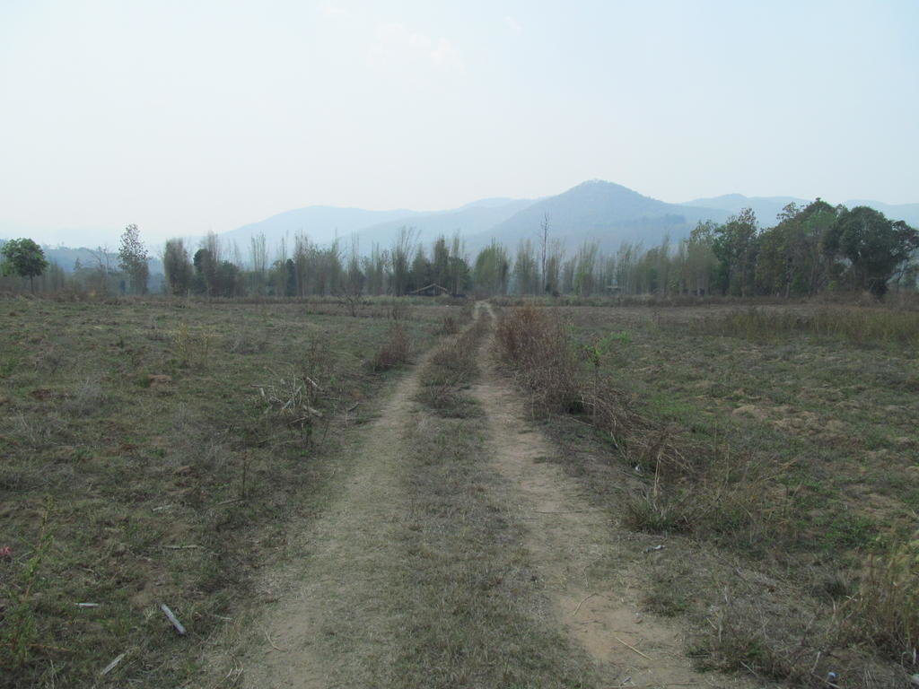 IMG_5155.jpg