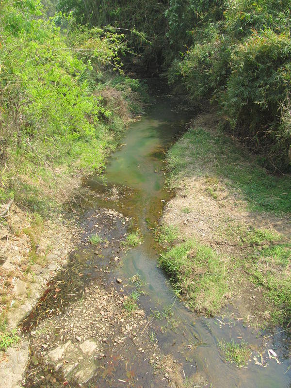 IMG_5206.jpg IMG_5206.jpg