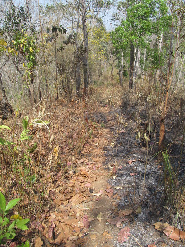 IMG_5254.jpg