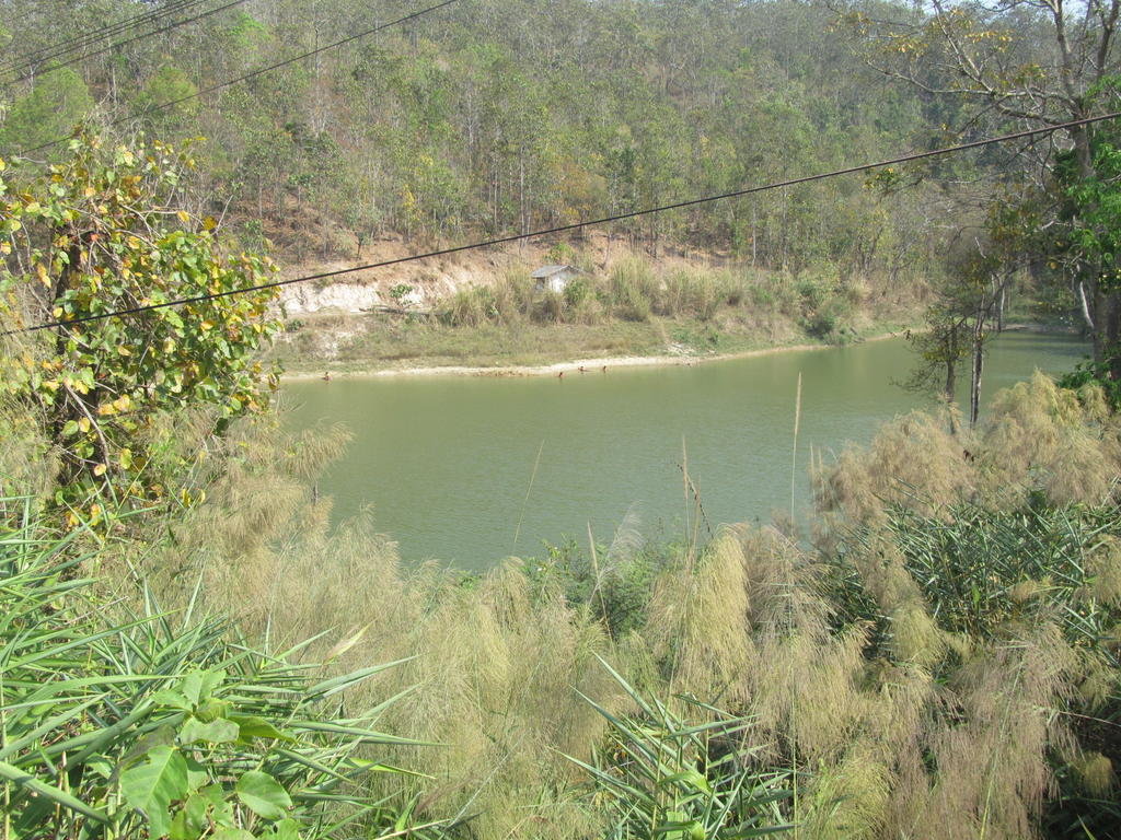 IMG_5258.jpg