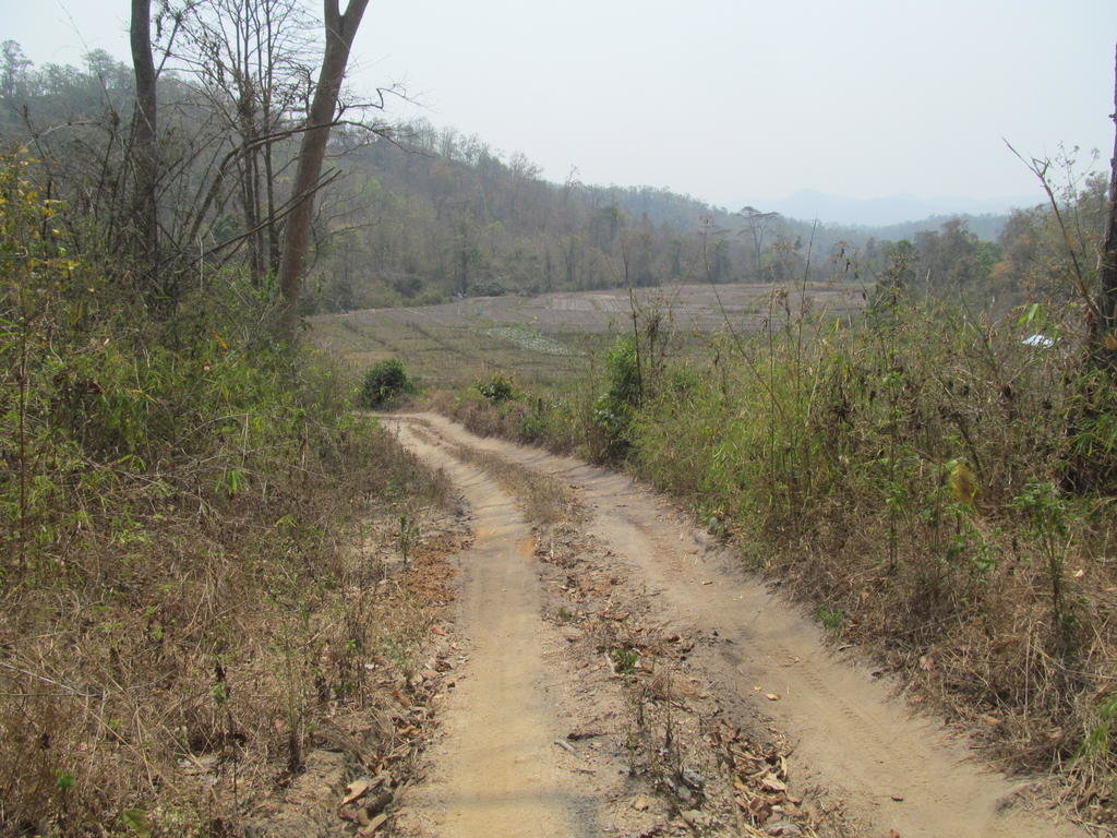 IMG_5266.jpg