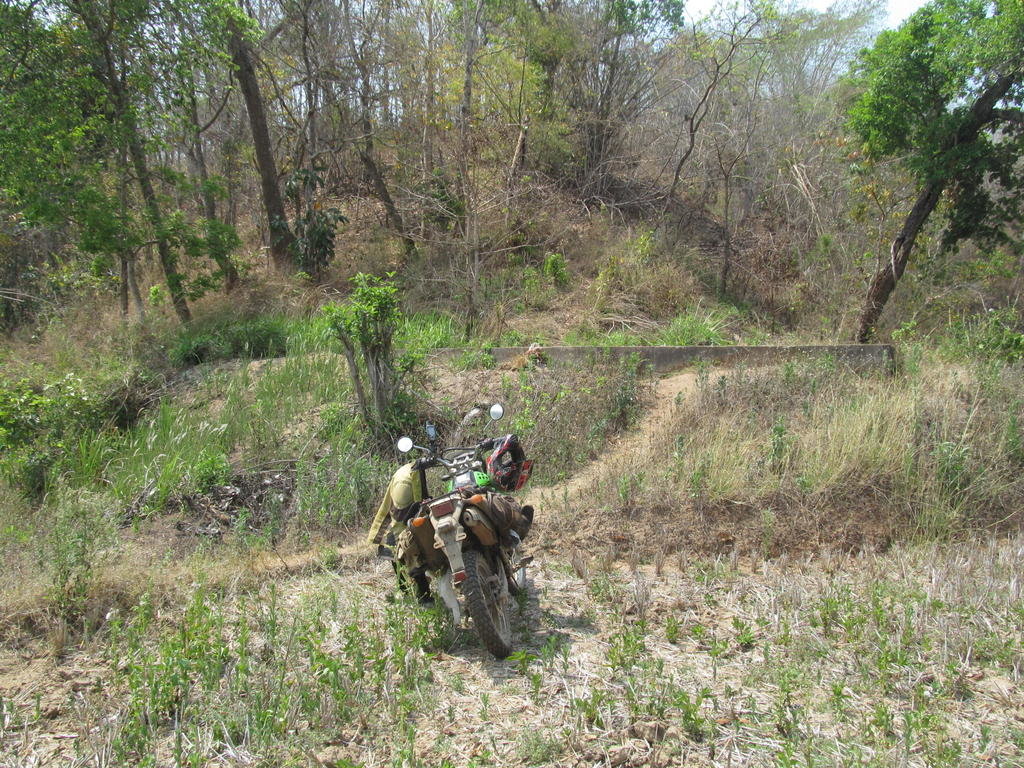 IMG_5341.jpg IMG_5341.jpg