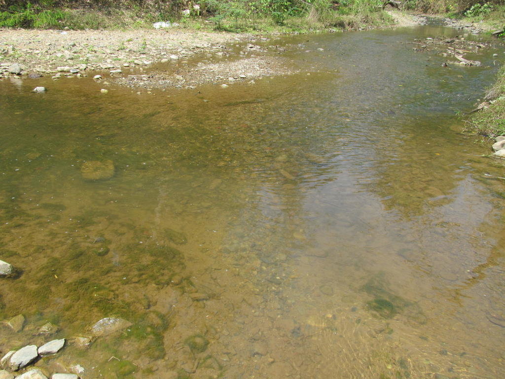 IMG_5384.jpg