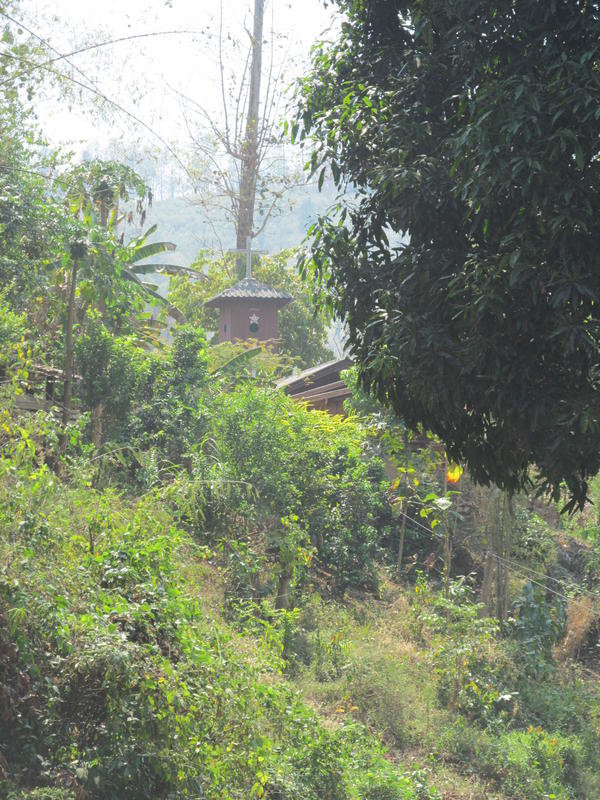 IMG_5400.jpg