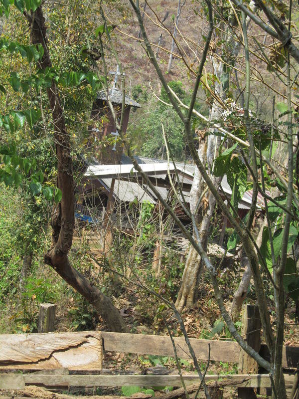 IMG_5403.jpg