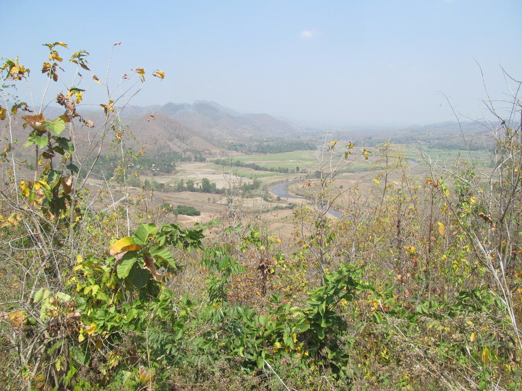 IMG_5435.jpg