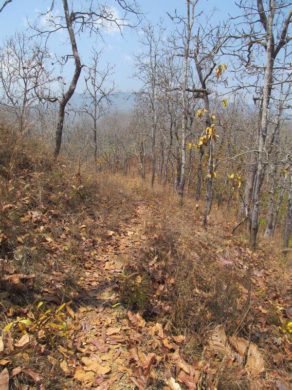 IMG_5440.jpg