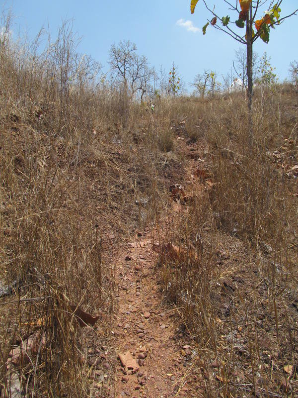 IMG_5441.jpg