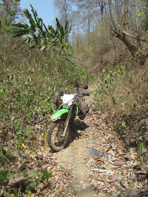 IMG_5445.jpg