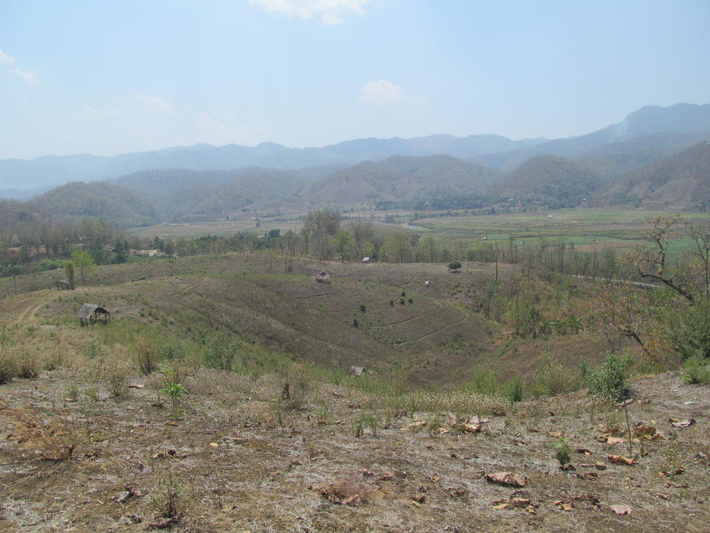 IMG_5449.jpg