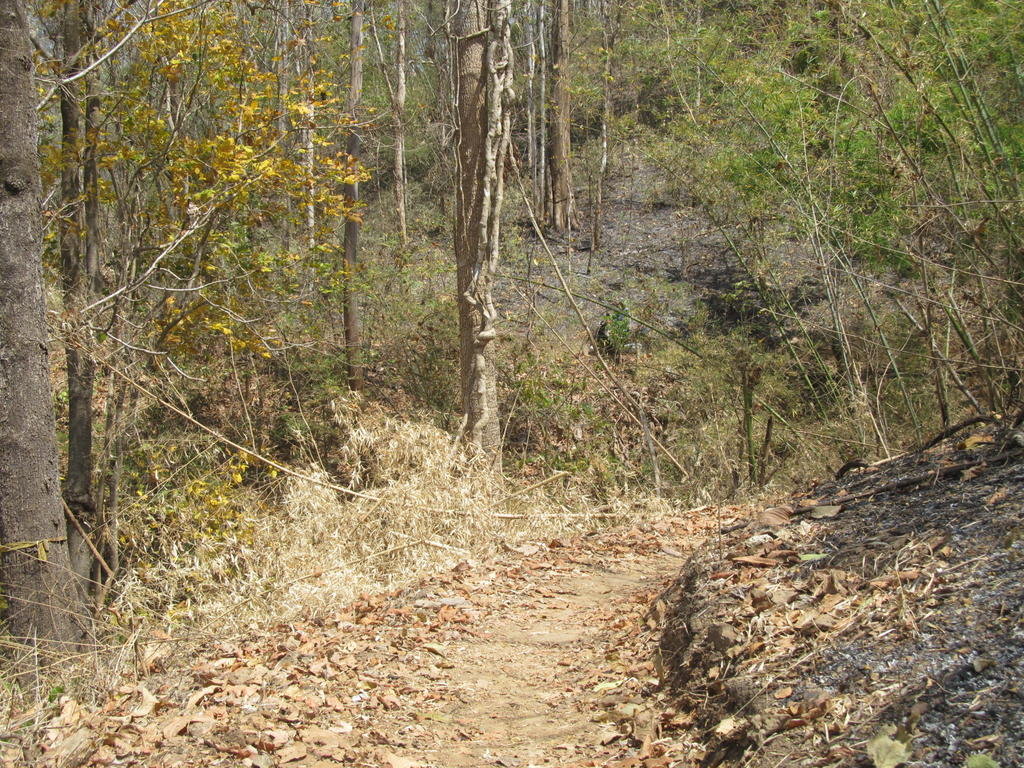 IMG_5464.jpg
