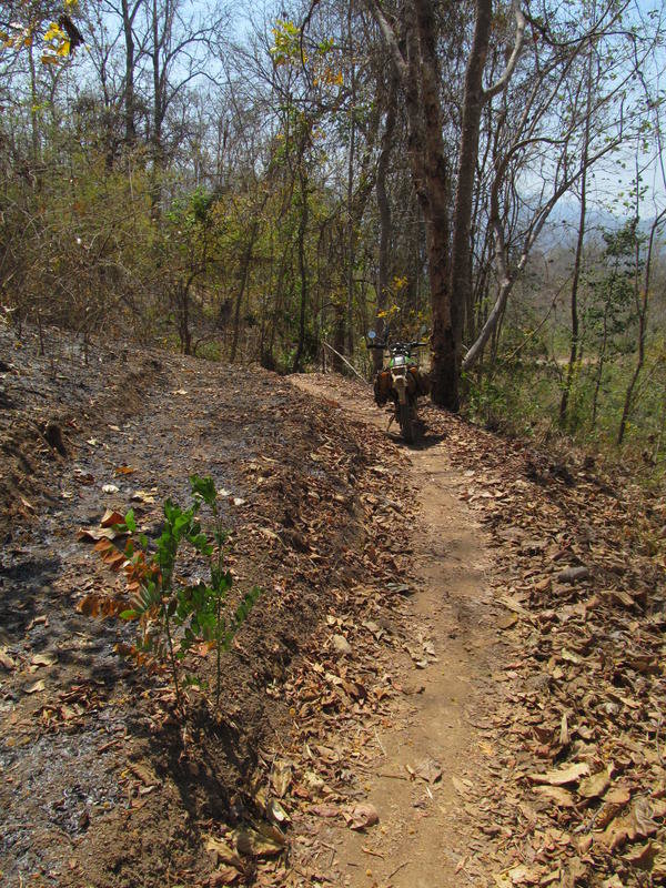 IMG_5465.jpg