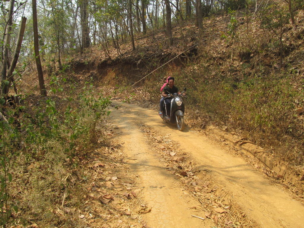 IMG_5544.jpg