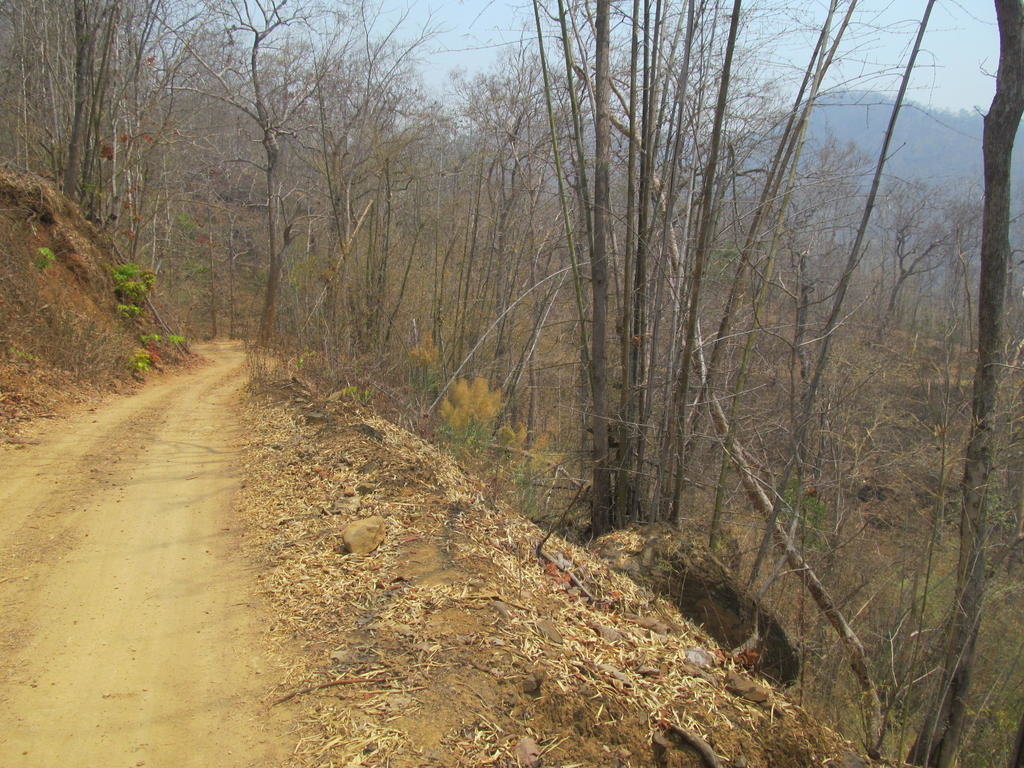 IMG_5545.jpg