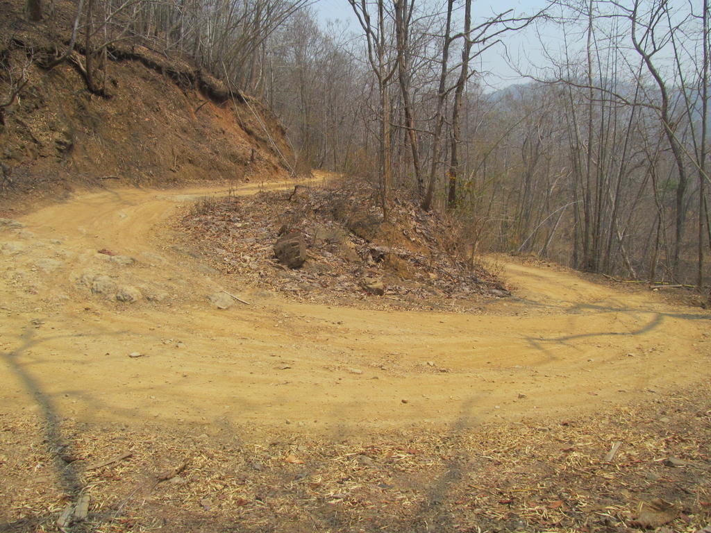 IMG_5546.jpg