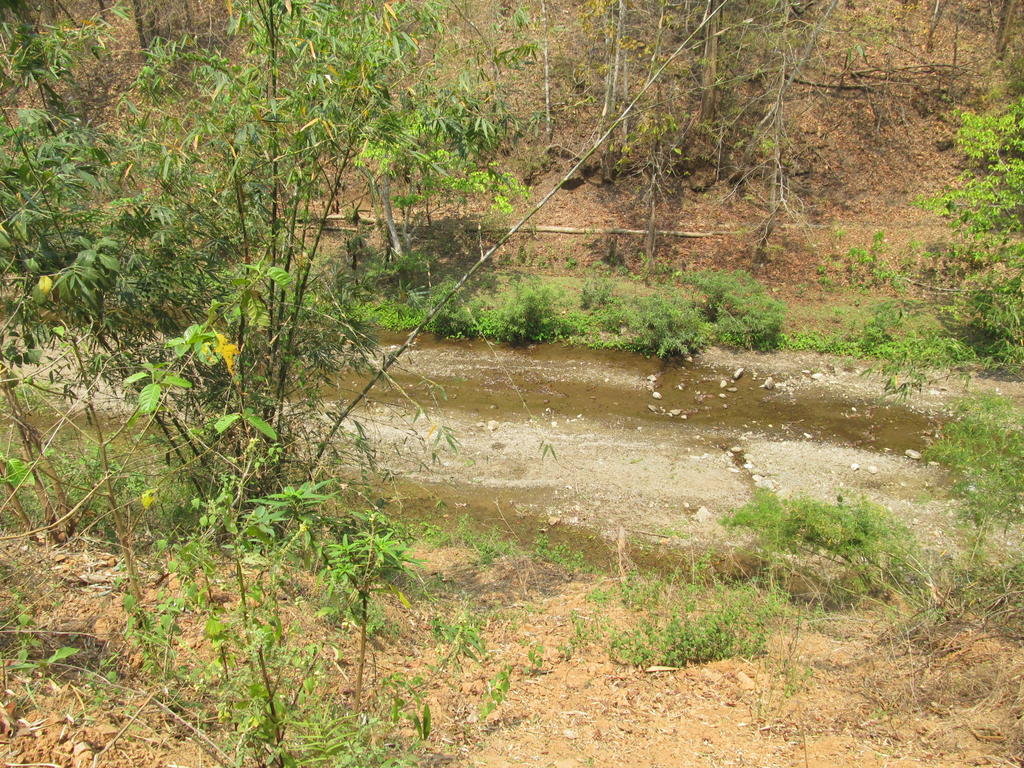 IMG_5555.jpg