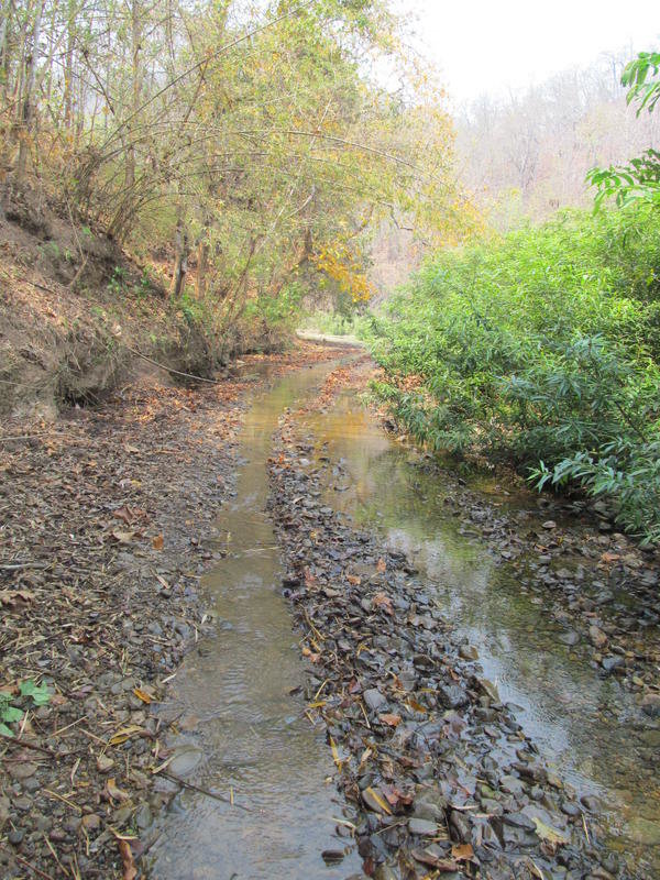 IMG_5563.jpg