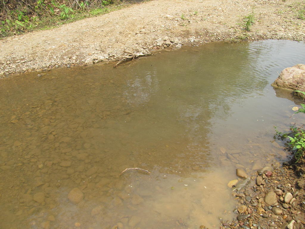 IMG_5564.jpg