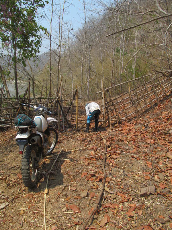 IMG_5580.jpg