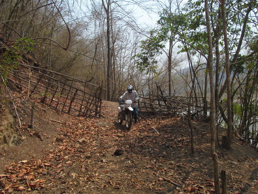 IMG_5581.jpg