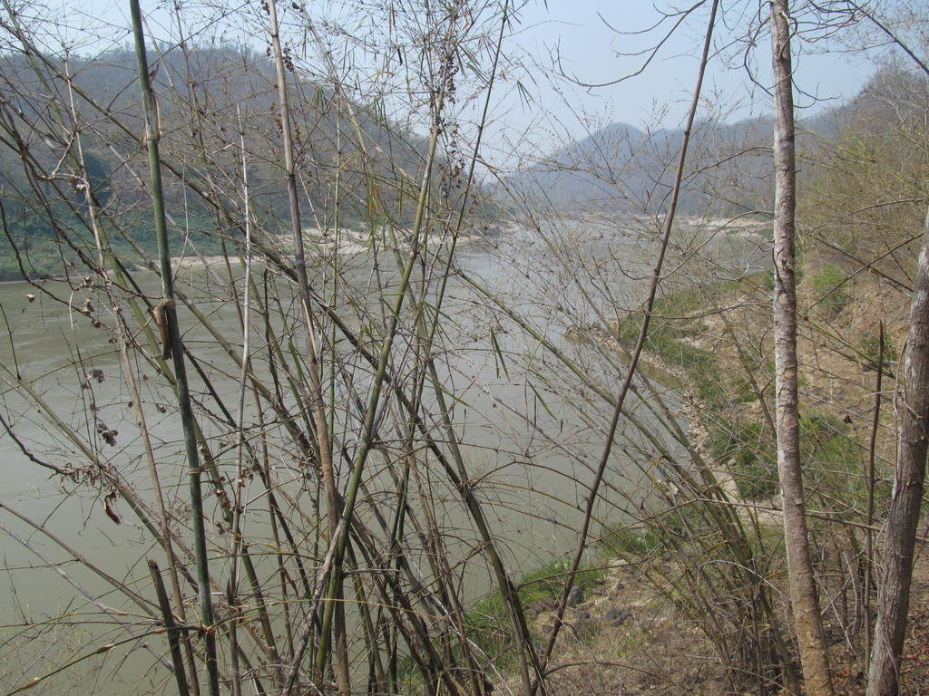 IMG_5582.jpg