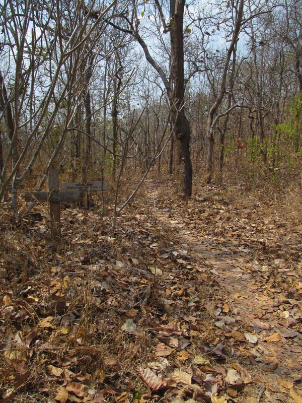 IMG_5623.jpg
