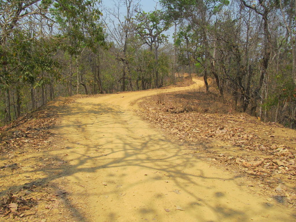 IMG_5661.jpg