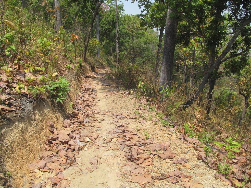 IMG_5663.jpg